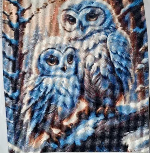 Two blue owls perched together on a snowy tree branch at night