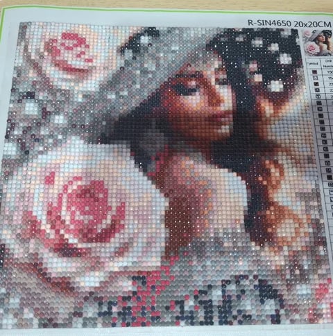 Diamond painting pattern featuring a womans profile with roses and sparkles, 20x20cm size